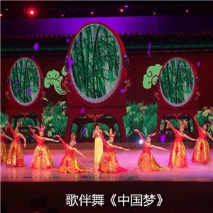 宿州市公安晚会